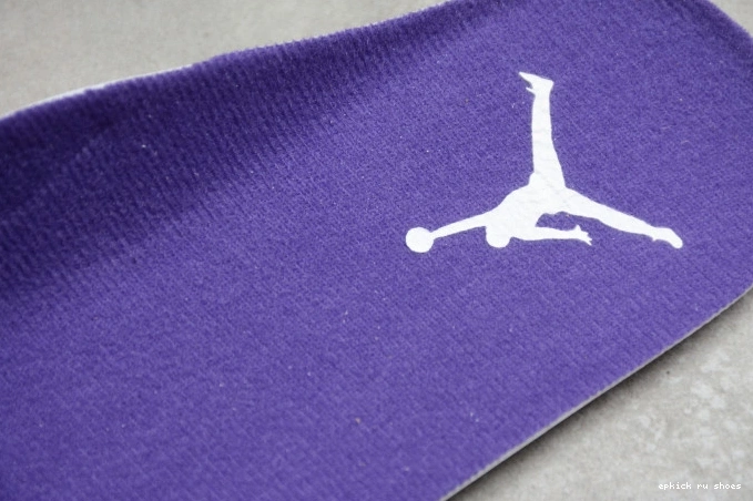 Rep Jordan Court CT8527-115 Purple 4 Air 0710